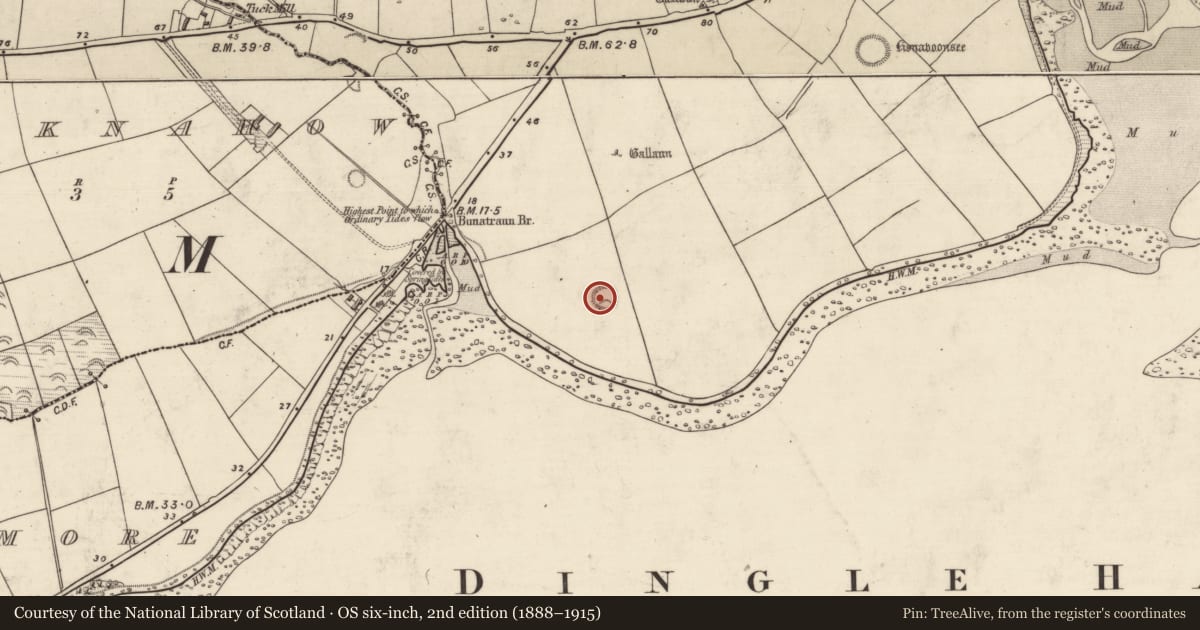 Ordnance Survey six-inch map, 2nd edition (1888–1915) covering the location of Ringfort - rath, Baile An Mhuilinn (Corca Dhuibhne), County Kerry, with a pin at the register's coordinates