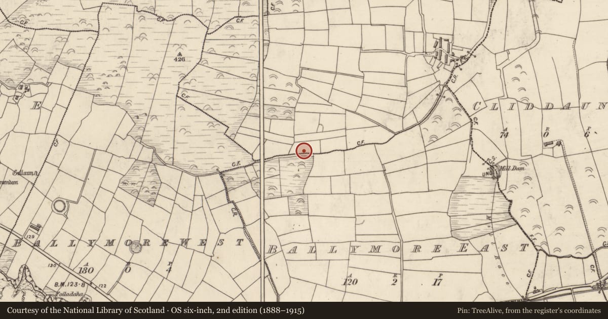 Ordnance Survey six-inch map, 2nd edition (1888–1915) covering the location of Burial, Móin An Fhraoigh, County Kerry, with a pin at the register's coordinates