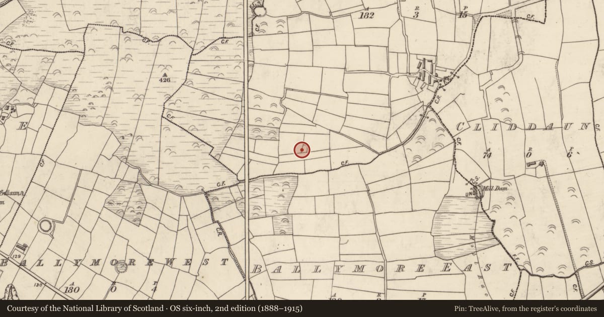 Ordnance Survey six-inch map, 2nd edition (1888–1915) covering the location of House - indeterminate date, Móin An Fhraoigh, County Kerry, with a pin at the register's coordinates
