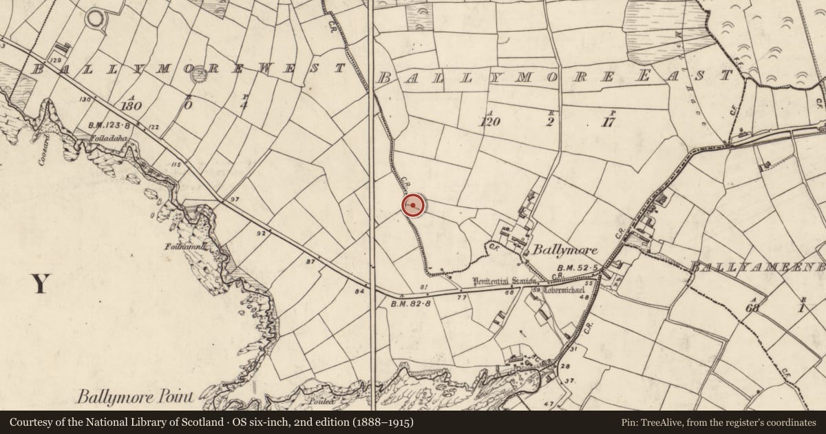 Ordnance Survey six-inch map, 2nd edition (1888–1915) covering the location of Souterrain, Baile Mór Thiar, Baile Mór Thoir, County Kerry, with a pin at the register's coordinates