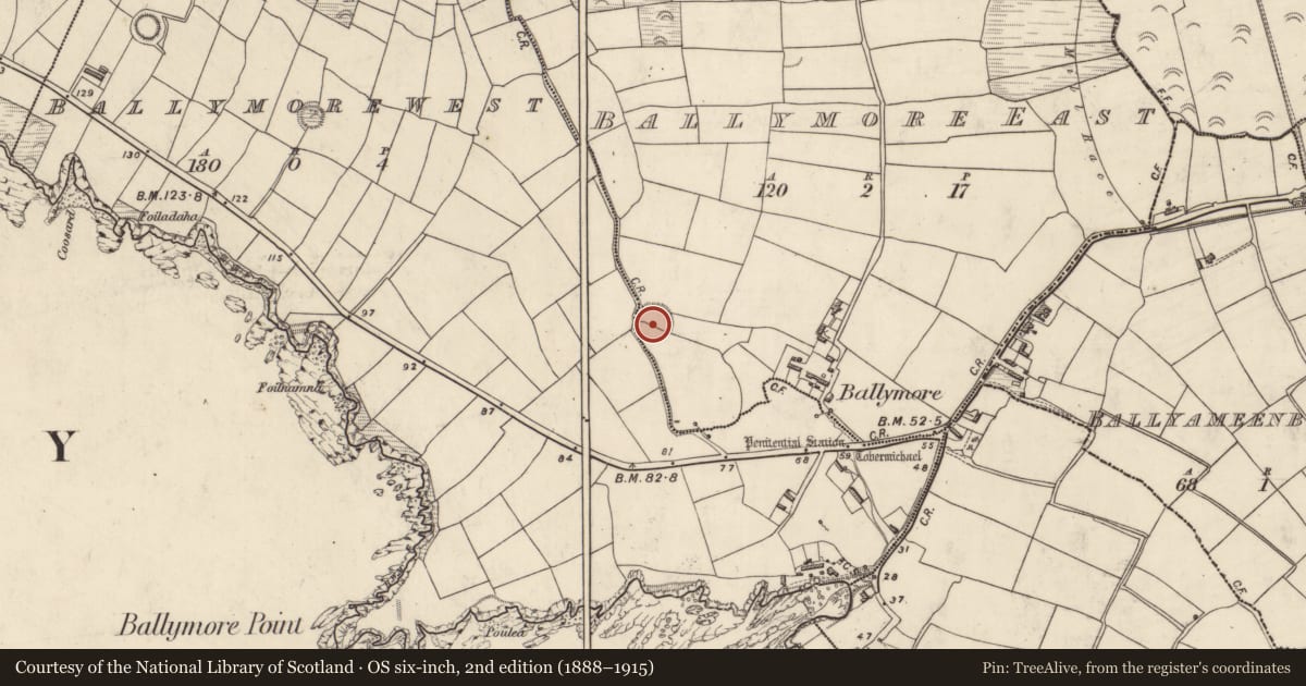 Ordnance Survey six-inch map, 2nd edition (1888–1915) covering the location of Hut site, Baile Mór Thoir, County Kerry, with a pin at the register's coordinates