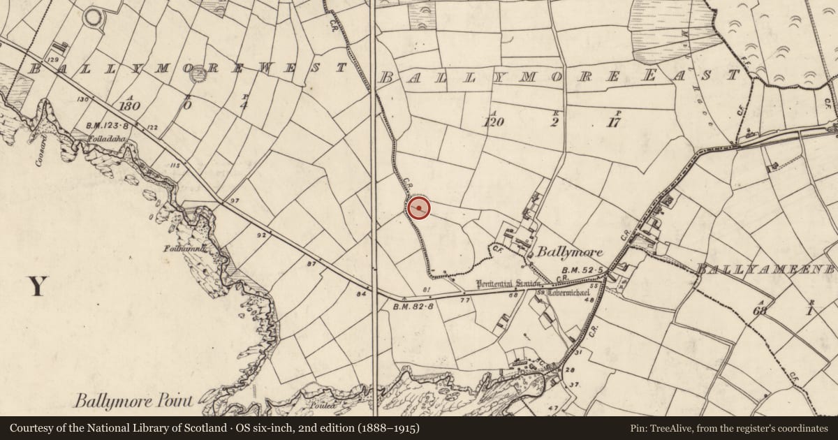 Ordnance Survey six-inch map, 2nd edition (1888–1915) covering the location of Hut site, Baile Mór Thoir, County Kerry, with a pin at the register's coordinates