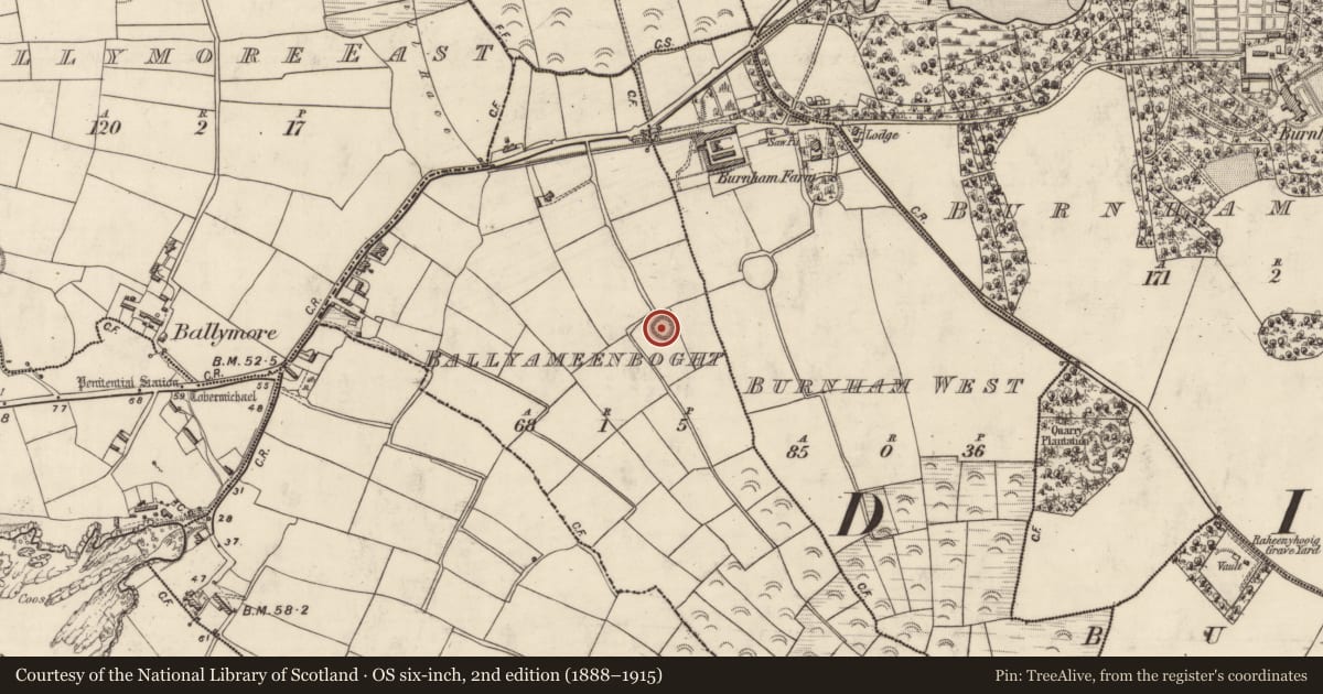Ordnance Survey six-inch map, 2nd edition (1888–1915) covering the location of Ringfort - rath, Baile Áimín Bocht, County Kerry, with a pin at the register's coordinates