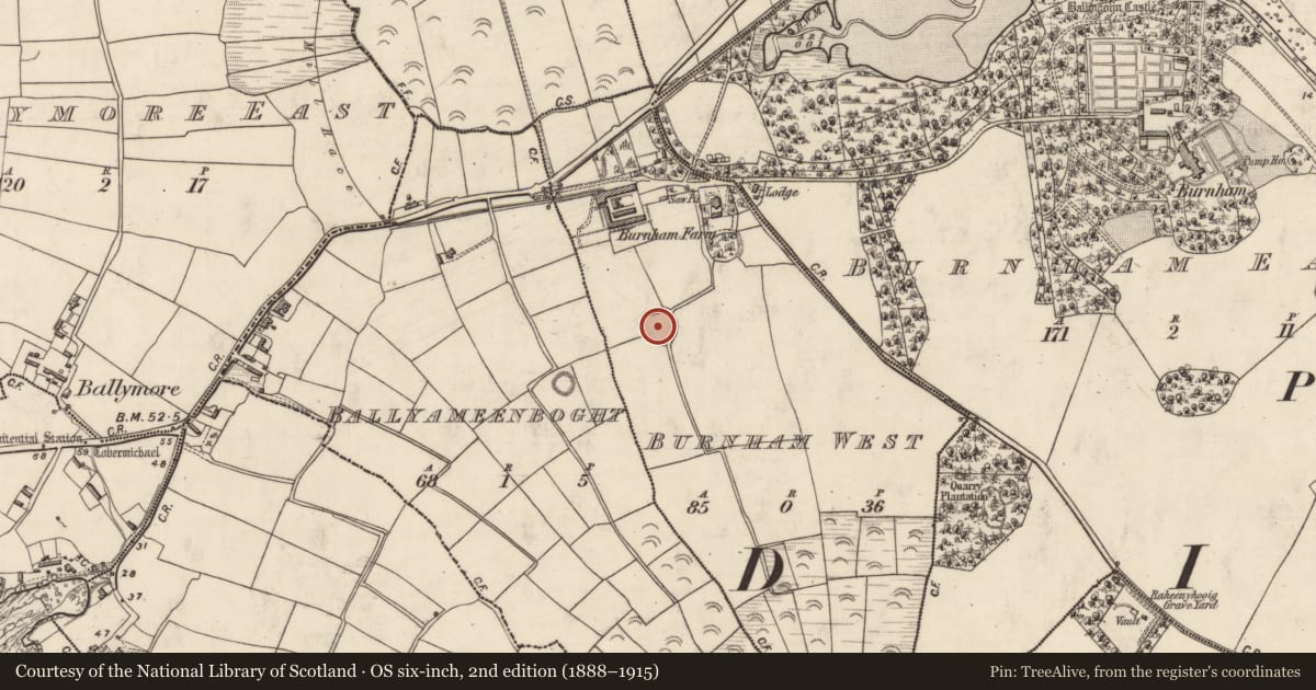 Ordnance Survey six-inch map, 2nd edition (1888–1915) covering the location of Ringfort - rath, An Bóthar Buí, County Kerry, with a pin at the register's coordinates