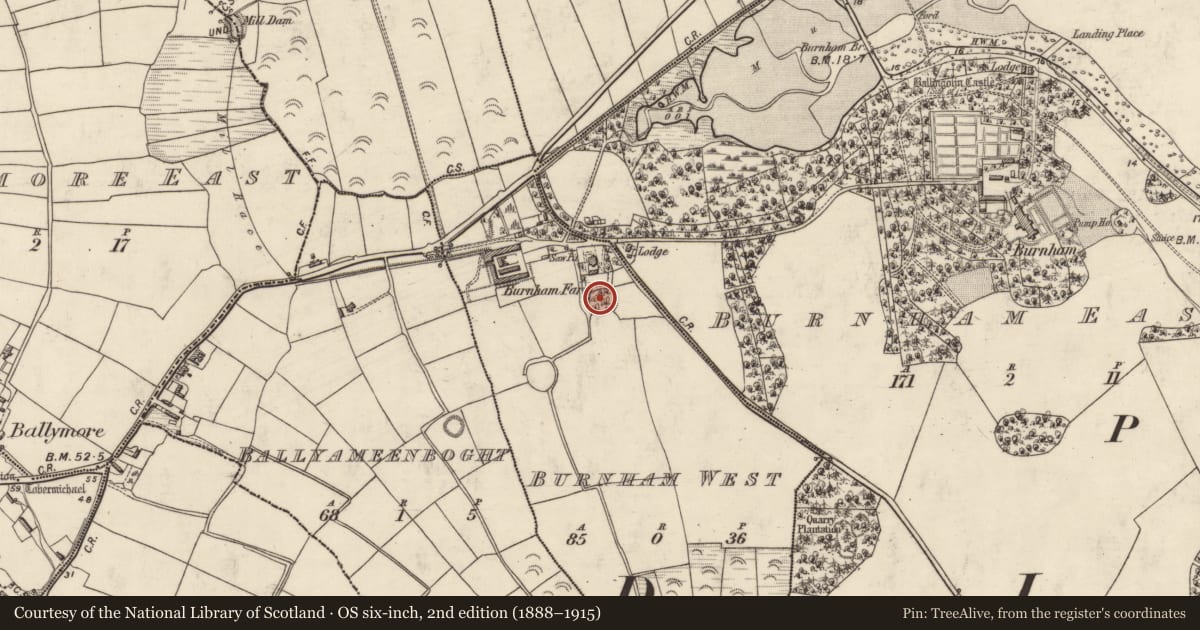 Ordnance Survey six-inch map, 2nd edition (1888–1915) covering the location of Ringfort - rath, An Bóthar Buí, County Kerry, with a pin at the register's coordinates