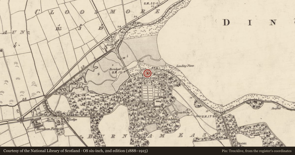 Ordnance Survey six-inch map, 2nd edition (1888–1915) covering the location of Castle - unclassified, Baile An Ghóilín, County Kerry, with a pin at the register's coordinates