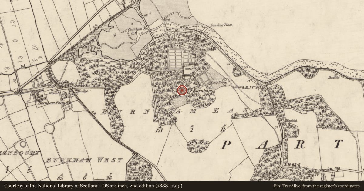Ordnance Survey six-inch map, 2nd edition (1888–1915) covering the location of Ogham stone (present location), Baile An Ghóilín, County Kerry, with a pin at the register's coordinates