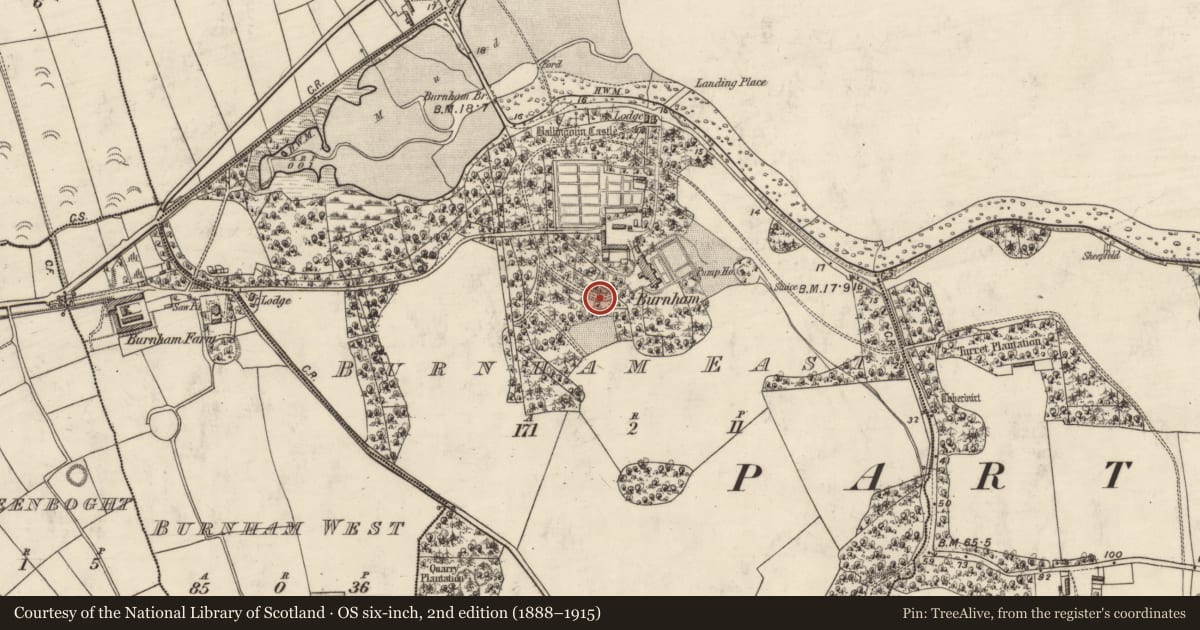 Ordnance Survey six-inch map, 2nd edition (1888–1915) covering the location of Ogham stone (present location), Baile An Ghóilín, County Kerry, with a pin at the register's coordinates