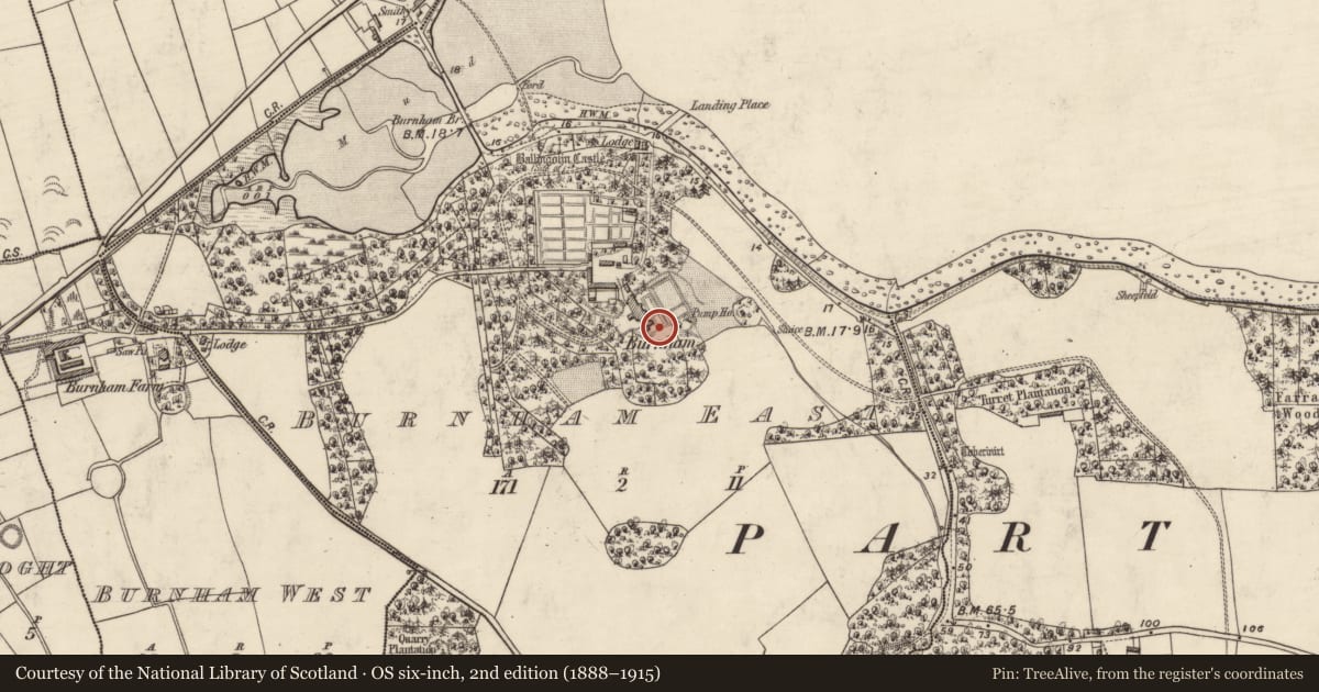 Ordnance Survey six-inch map, 2nd edition (1888–1915) covering the location of Burial, Baile An Ghóilín, County Kerry, with a pin at the register's coordinates