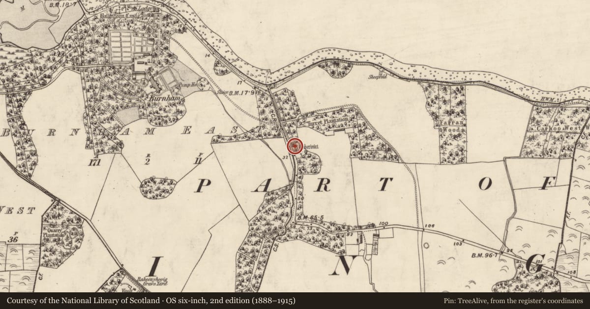 Ordnance Survey six-inch map, 2nd edition (1888–1915) covering the location of Ritual site - holy well, Baile Mhic An Daill, County Kerry, with a pin at the register's coordinates