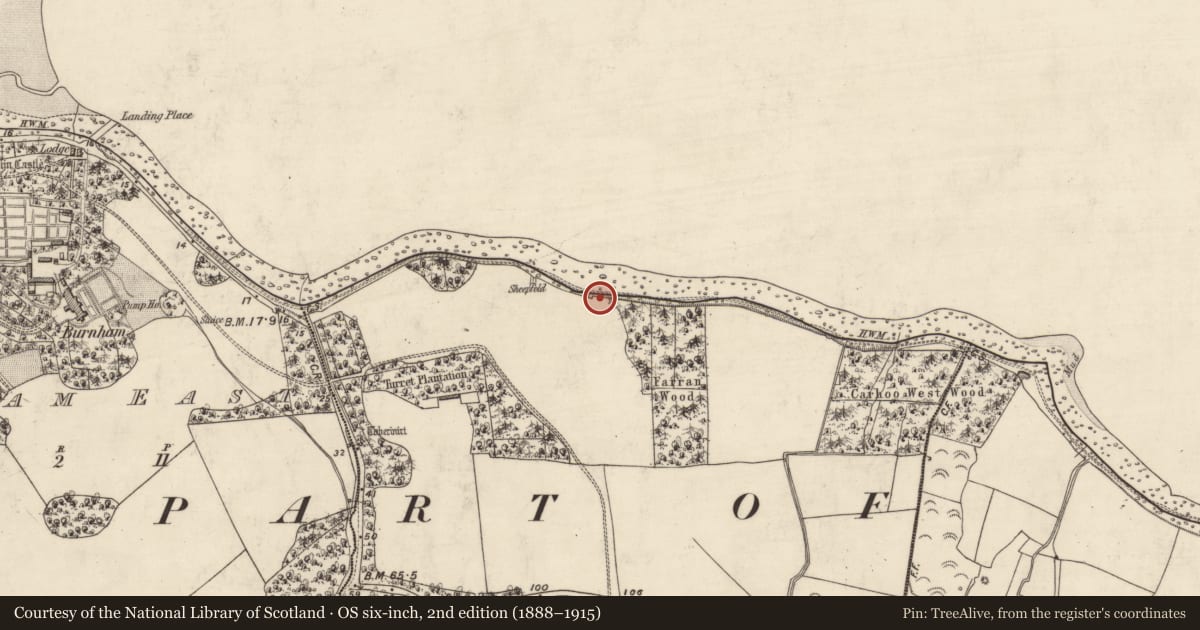 Ordnance Survey six-inch map, 2nd edition (1888–1915) covering the location of Midden, Baile Mhic An Daill, County Kerry, with a pin at the register's coordinates