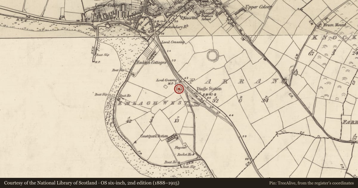 Ordnance Survey six-inch map, 2nd edition (1888–1915) covering the location of Ringfort - rath, Imleach An Daingin (TC An Daingean), County Kerry, with a pin at the register's coordinates
