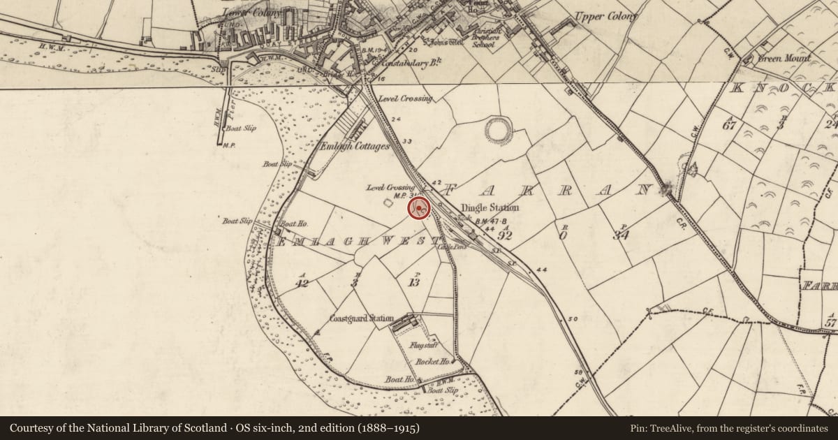 Ordnance Survey six-inch map, 2nd edition (1888–1915) covering the location of Ogham stone, Imleach An Daingin (TC An Daingean), County Kerry, with a pin at the register's coordinates
