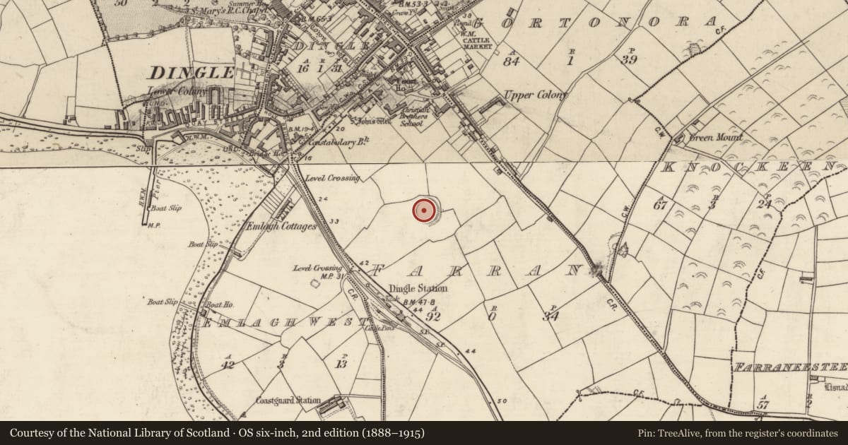 Ordnance Survey six-inch map, 2nd edition (1888–1915) covering the location of Enclosure, An Fearann (TC An Daingean), County Kerry, with a pin at the register's coordinates