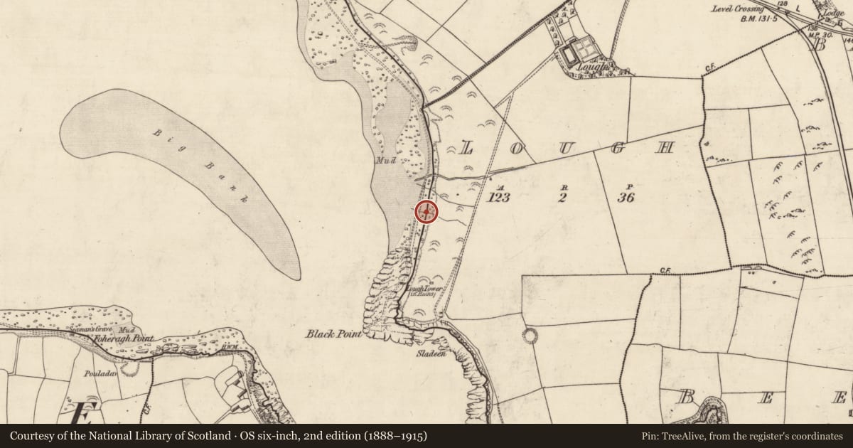 Ordnance Survey six-inch map, 2nd edition (1888–1915) covering the location of Midden, An Loch, County Kerry, with a pin at the register's coordinates