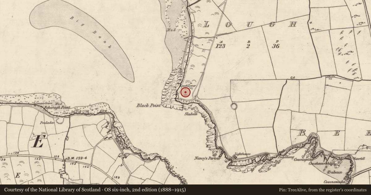 Ordnance Survey six-inch map, 2nd edition (1888–1915) covering the location of Promontory fort - coastal, An Loch, County Kerry, with a pin at the register's coordinates