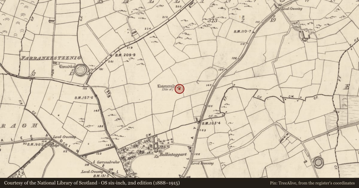 Ordnance Survey six-inch map, 2nd edition (1888–1915) covering the location of Ringfort - rath, Baile An Mhathamhnaigh, County Kerry, with a pin at the register's coordinates