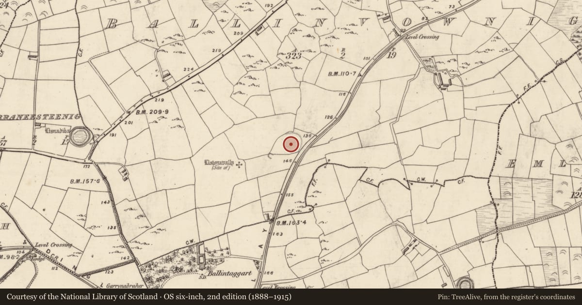 Ordnance Survey six-inch map, 2nd edition (1888–1915) covering the location of Ringfort - rath, Baile An Mhathamhnaigh, County Kerry, with a pin at the register's coordinates