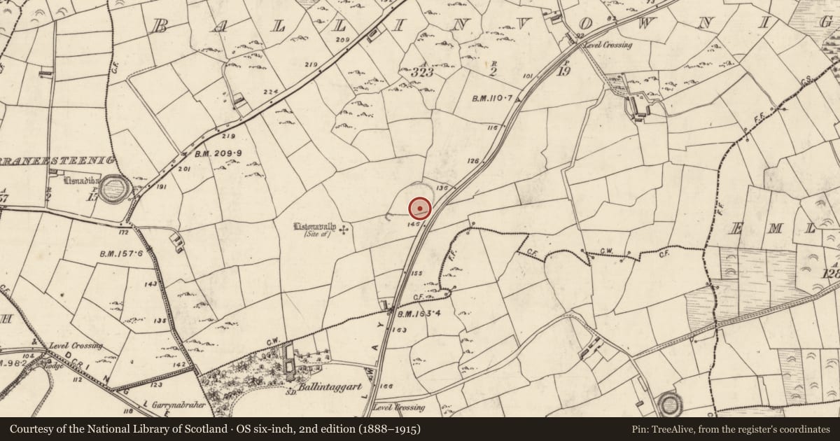 Ordnance Survey six-inch map, 2nd edition (1888–1915) covering the location of Souterrain, Baile An Mhathamhnaigh, County Kerry, with a pin at the register's coordinates
