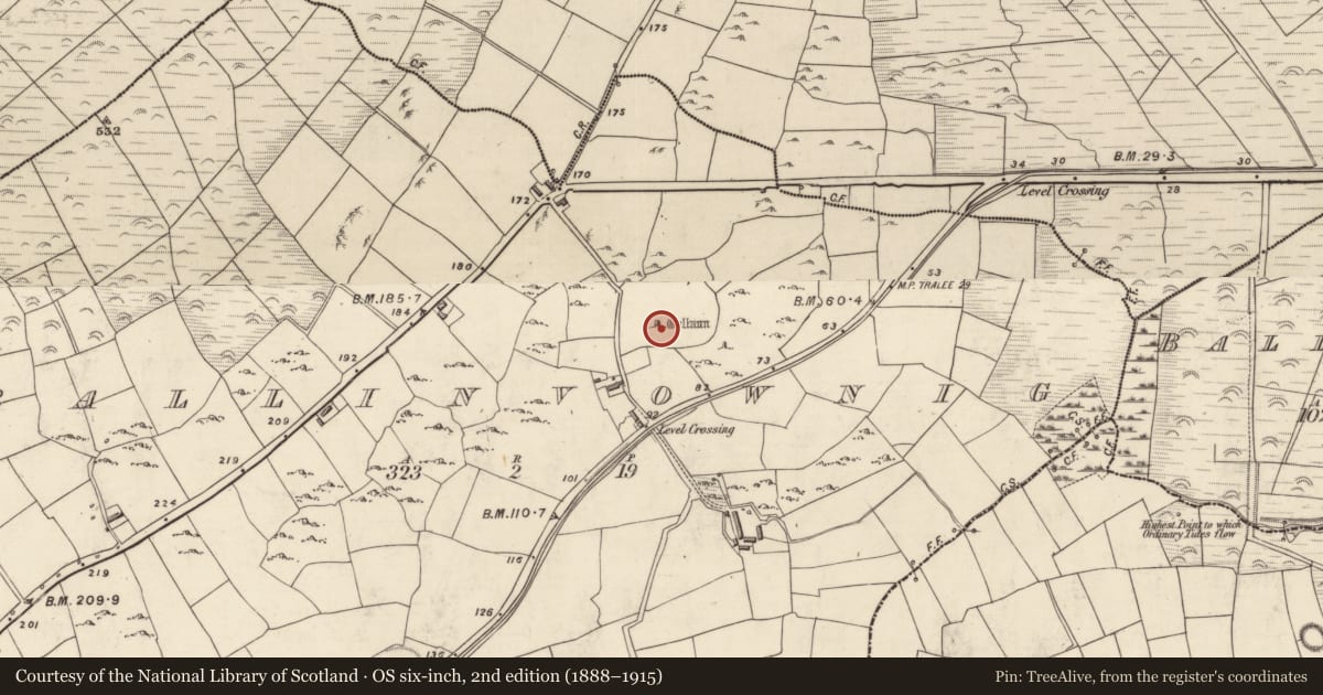 Ordnance Survey six-inch map, 2nd edition (1888–1915) covering the location of Standing stone, Baile An Mhathamhnaigh, County Kerry, with a pin at the register's coordinates