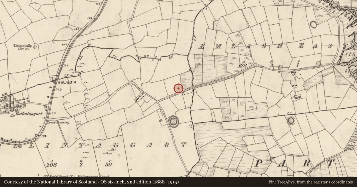 Ordnance Survey six-inch map, 2nd edition (1888–1915) covering the location of Fulacht fia, Baile An Tsagairt (TC Na Gleannta), County Kerry, with a pin at the register's coordinates