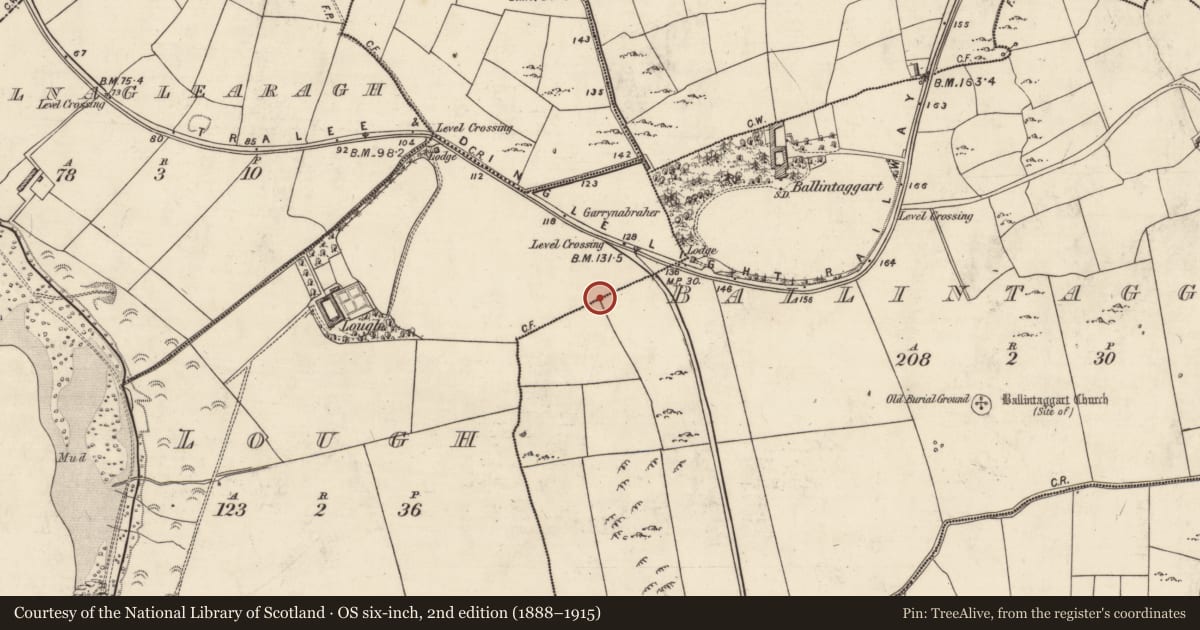 Ordnance Survey six-inch map, 2nd edition (1888–1915) covering the location of Ringfort - rath, An Loch, Baile An Tsagairt (TC Na Gleannta), County Kerry, with a pin at the register's coordinates