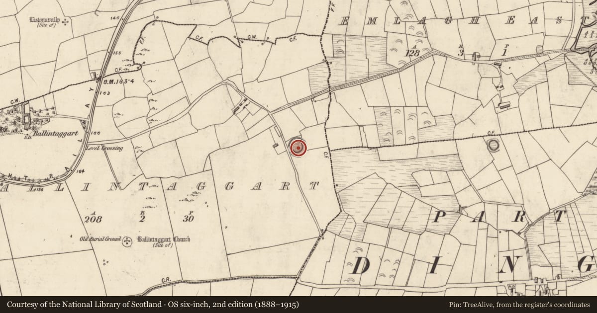 Ordnance Survey six-inch map, 2nd edition (1888–1915) covering the location of Ringfort - rath, Baile An Tsagairt (TC Na Gleannta), County Kerry, with a pin at the register's coordinates