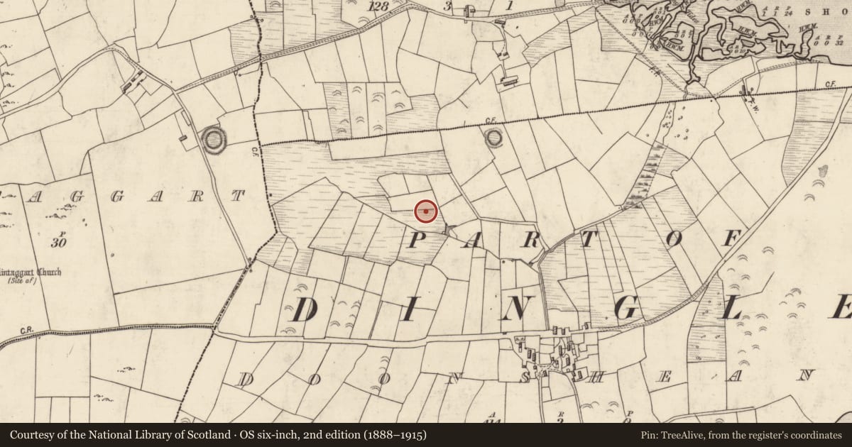 Ordnance Survey six-inch map, 2nd edition (1888–1915) covering the location of Ringfort - rath, Dún Sheáin, County Kerry, with a pin at the register's coordinates