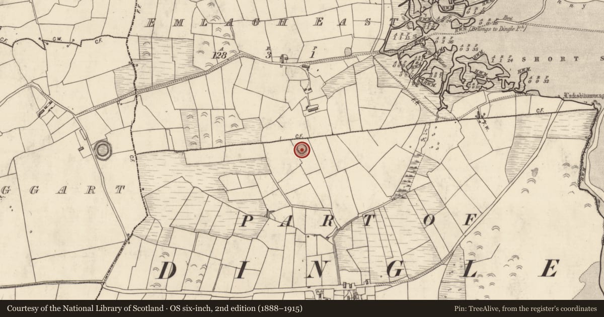 Ordnance Survey six-inch map, 2nd edition (1888–1915) covering the location of Ringfort - rath, Dún Sheáin, County Kerry, with a pin at the register's coordinates