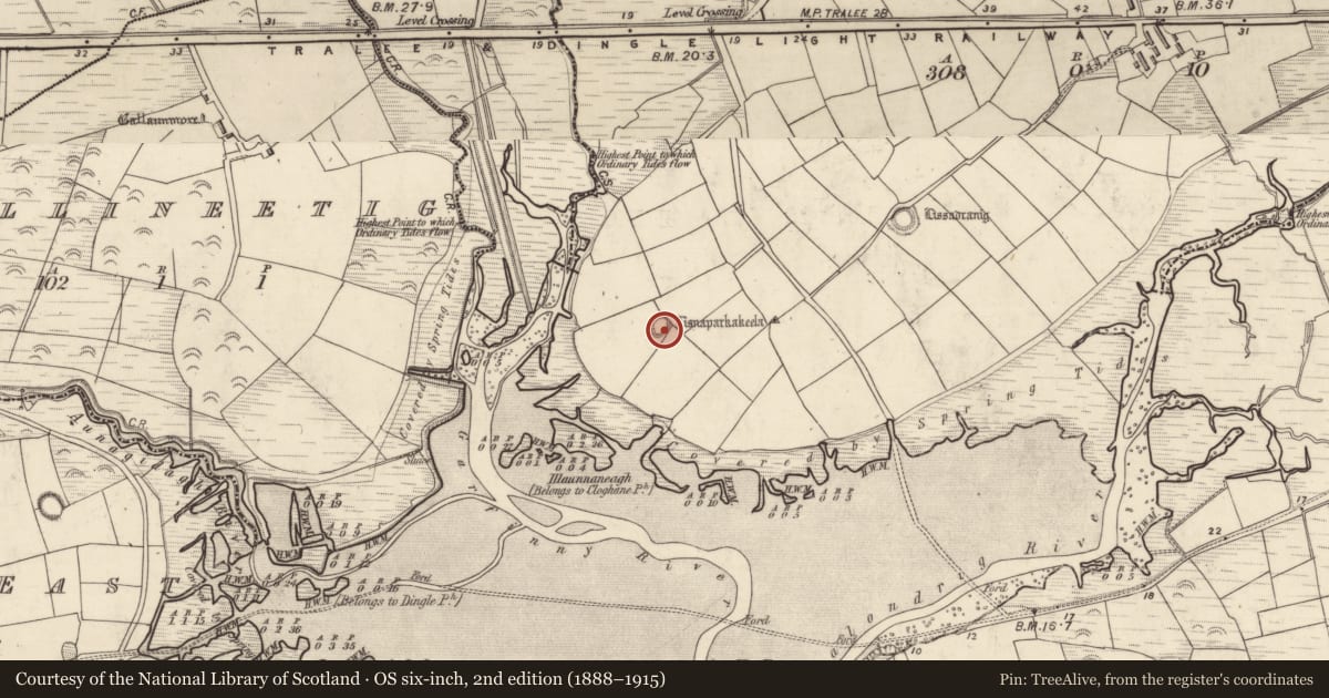 Ordnance Survey six-inch map, 2nd edition (1888–1915) covering the location of Ringfort - rath, Baile An Ístínigh, County Kerry, with a pin at the register's coordinates