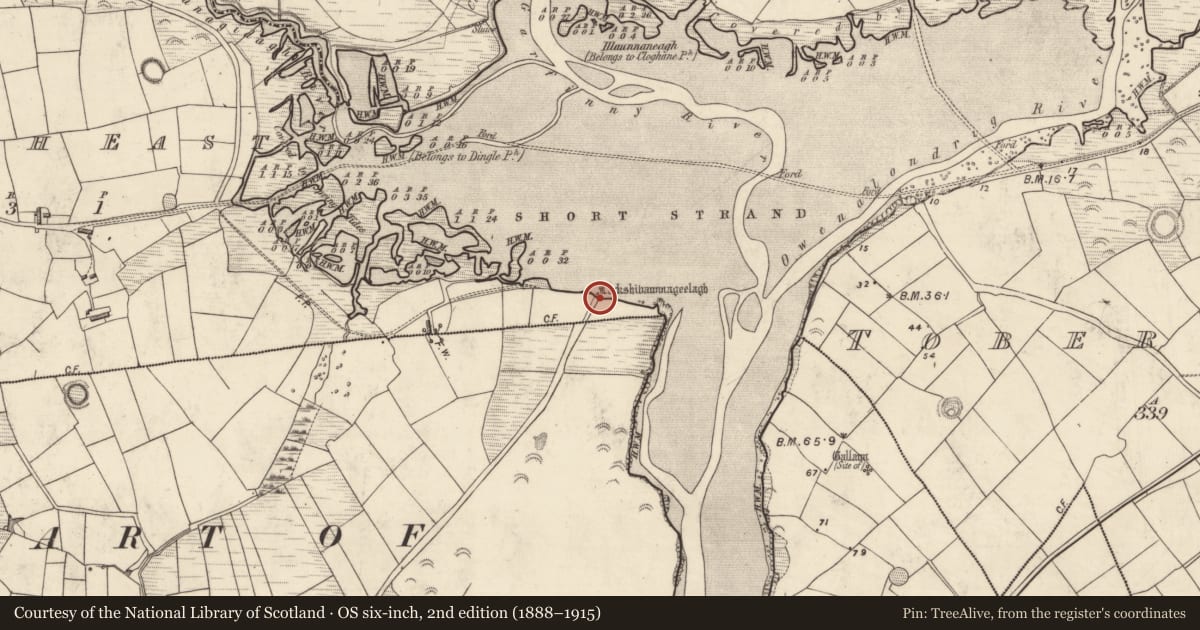 Ordnance Survey six-inch map, 2nd edition (1888–1915) covering the location of Ogham stone, Imleach Dhún Séann (TC Na Gleannta), County Kerry, with a pin at the register's coordinates