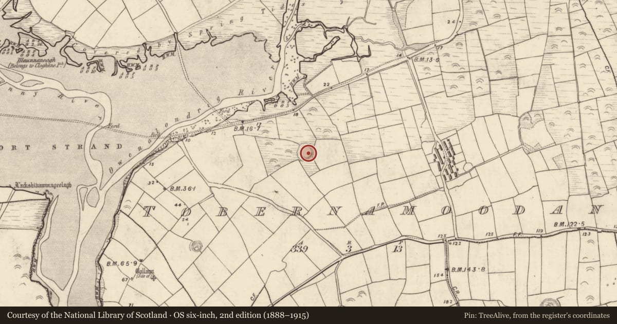 Ordnance Survey six-inch map, 2nd edition (1888–1915) covering the location of Ringfort - rath, Tobar Na Múdán, County Kerry, with a pin at the register's coordinates