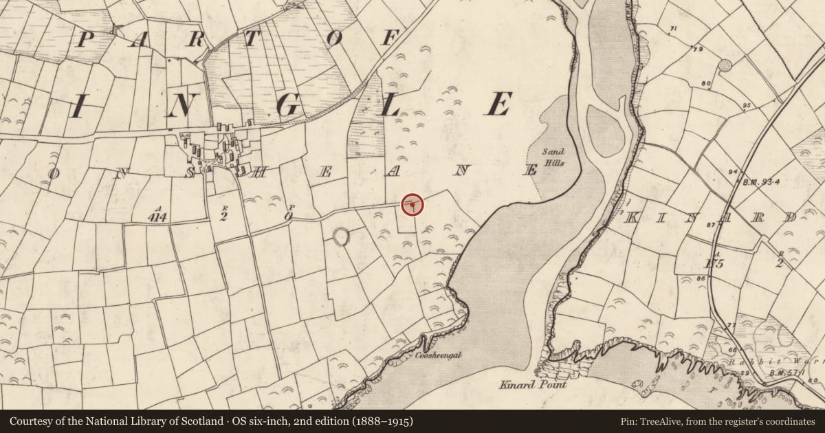 Ordnance Survey six-inch map, 2nd edition (1888–1915) covering the location of Ringfort - rath, Dún Sheáin, County Kerry, with a pin at the register's coordinates