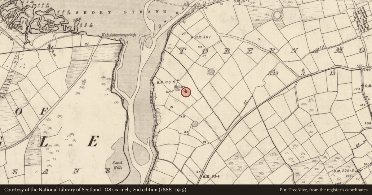 Ordnance Survey six-inch map, 2nd edition (1888–1915) covering the location of Standing stone, Cinn Aird Thiar (TC Cinn Aird), County Kerry, with a pin at the register's coordinates