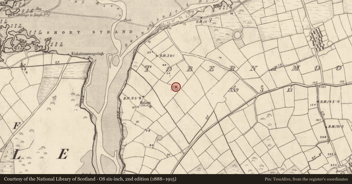 Ordnance Survey six-inch map, 2nd edition (1888–1915) covering the location of Ringfort - rath, Tobar Na Múdán, County Kerry, with a pin at the register's coordinates