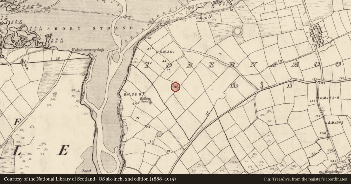 Ordnance Survey six-inch map, 2nd edition (1888–1915) covering the location of Hut site, Tobar Na Múdán, County Kerry, with a pin at the register's coordinates