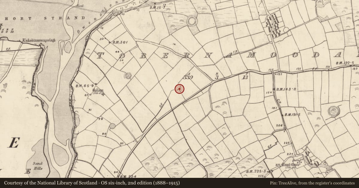 Ordnance Survey six-inch map, 2nd edition (1888–1915) covering the location of Ringfort - rath, Tobar Na Múdán, County Kerry, with a pin at the register's coordinates