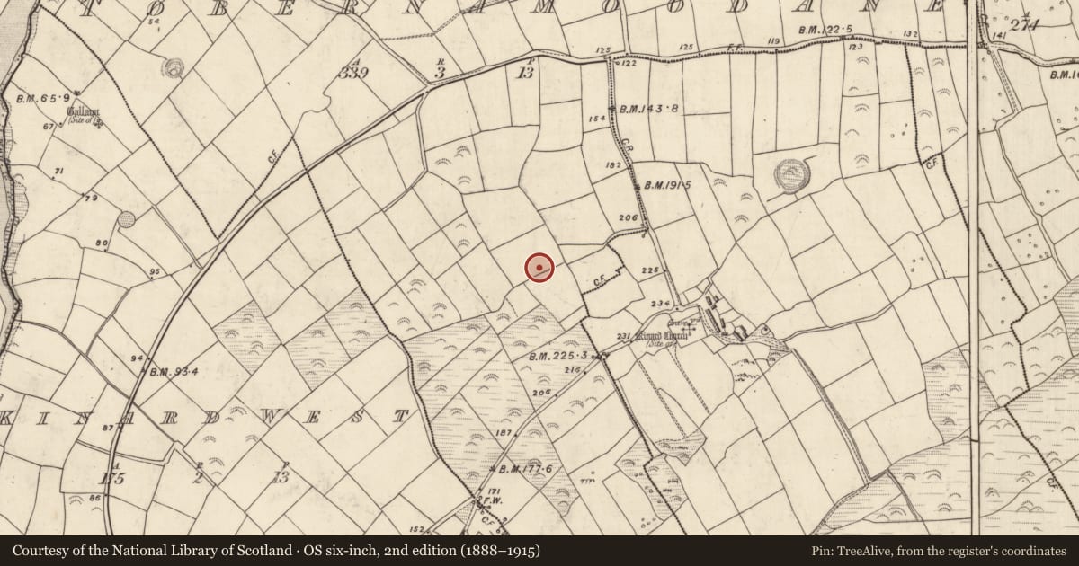 Ordnance Survey six-inch map, 2nd edition (1888–1915) covering the location of Cist, Tobar Na Múdán, County Kerry, with a pin at the register's coordinates