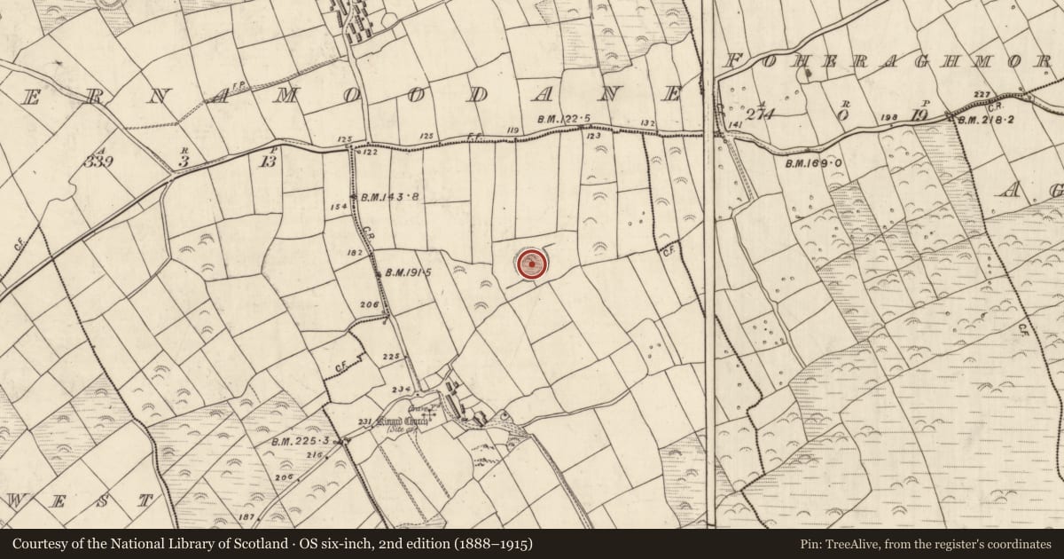 Ordnance Survey six-inch map, 2nd edition (1888–1915) covering the location of Ringfort - rath, Cinn Aird Thoir (TC Cinn Aird), County Kerry, with a pin at the register's coordinates