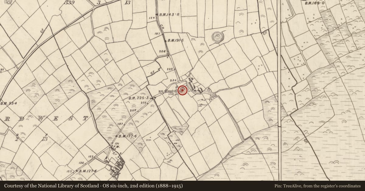 Ordnance Survey six-inch map, 2nd edition (1888–1915) covering the location of Ogham stone, Cinn Aird Thoir (TC Cinn Aird), County Kerry, with a pin at the register's coordinates