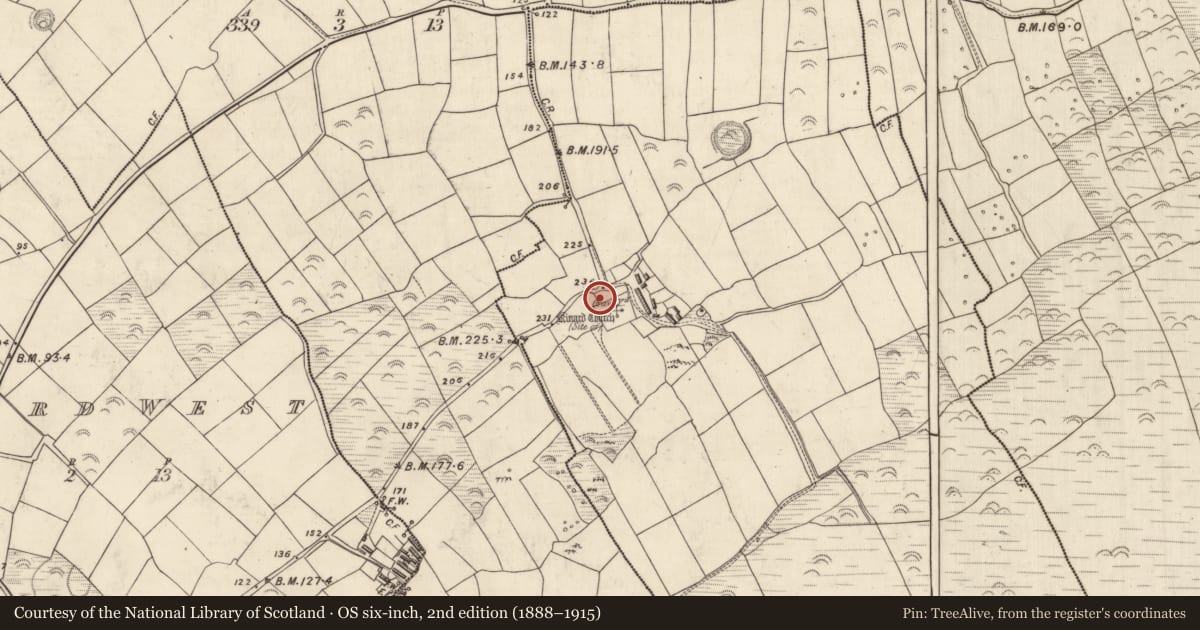 Ordnance Survey six-inch map, 2nd edition (1888–1915) covering the location of Bullaun stone, Cinn Aird Thoir (TC Cinn Aird), County Kerry, with a pin at the register's coordinates
