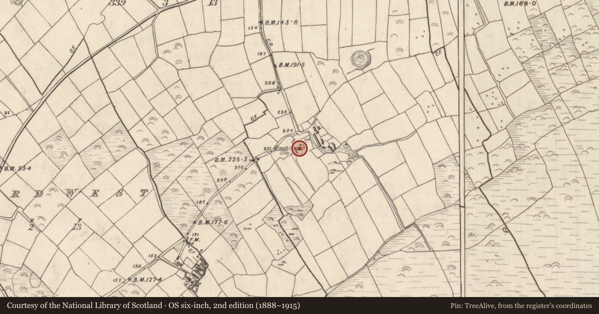 Ordnance Survey six-inch map, 2nd edition (1888–1915) covering the location of Ogham stone, Cinn Aird Thoir (TC Cinn Aird), County Kerry, with a pin at the register's coordinates