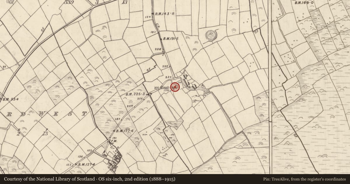 Ordnance Survey six-inch map, 2nd edition (1888–1915) covering the location of Cross-inscribed pillar, Cinn Aird Thoir (TC Cinn Aird), County Kerry, with a pin at the register's coordinates