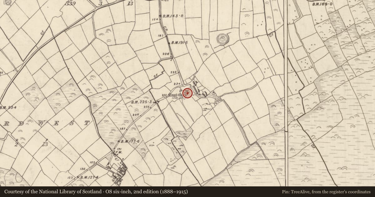 Ordnance Survey six-inch map, 2nd edition (1888–1915) covering the location of Holed stone, Cinn Aird Thoir (TC Cinn Aird), County Kerry, with a pin at the register's coordinates