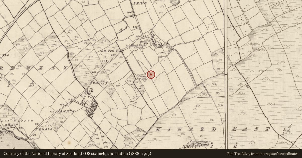 Ordnance Survey six-inch map, 2nd edition (1888–1915) covering the location of Rock art, Cinn Aird Thoir (TC Cinn Aird), County Kerry, with a pin at the register's coordinates