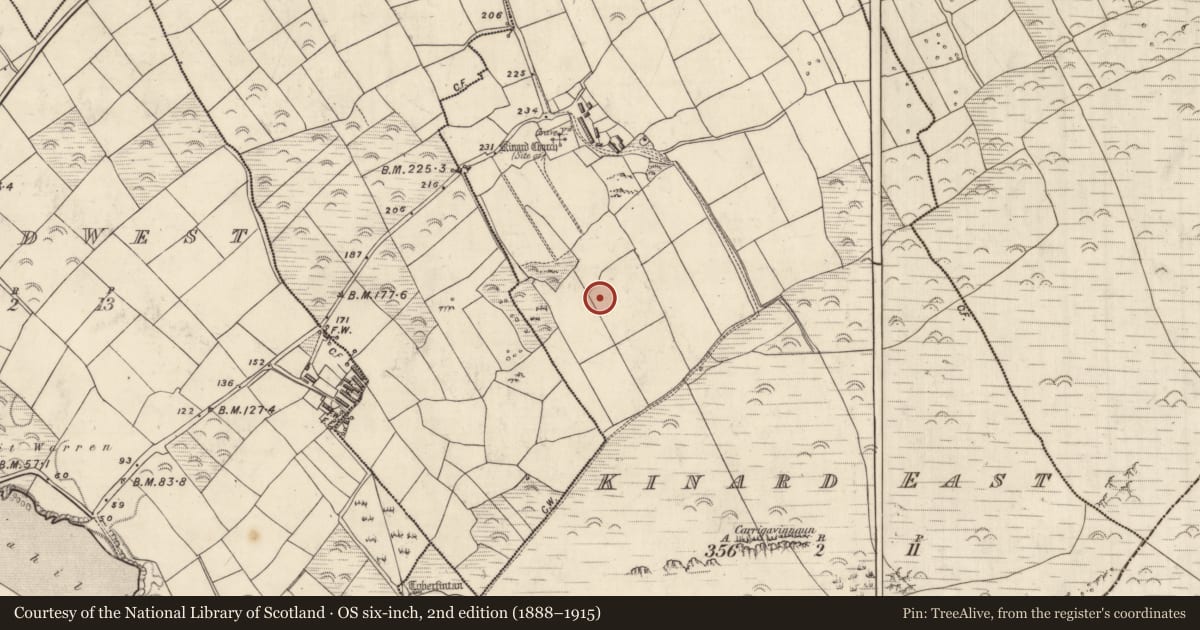 Ordnance Survey six-inch map, 2nd edition (1888–1915) covering the location of Souterrain, Cinn Aird Thoir (TC Cinn Aird), County Kerry, with a pin at the register's coordinates