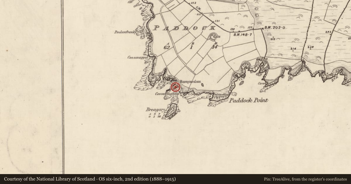 Ordnance Survey six-inch map, 2nd edition (1888–1915) covering the location of Promontory fort - coastal, An Paideac, County Kerry, with a pin at the register's coordinates