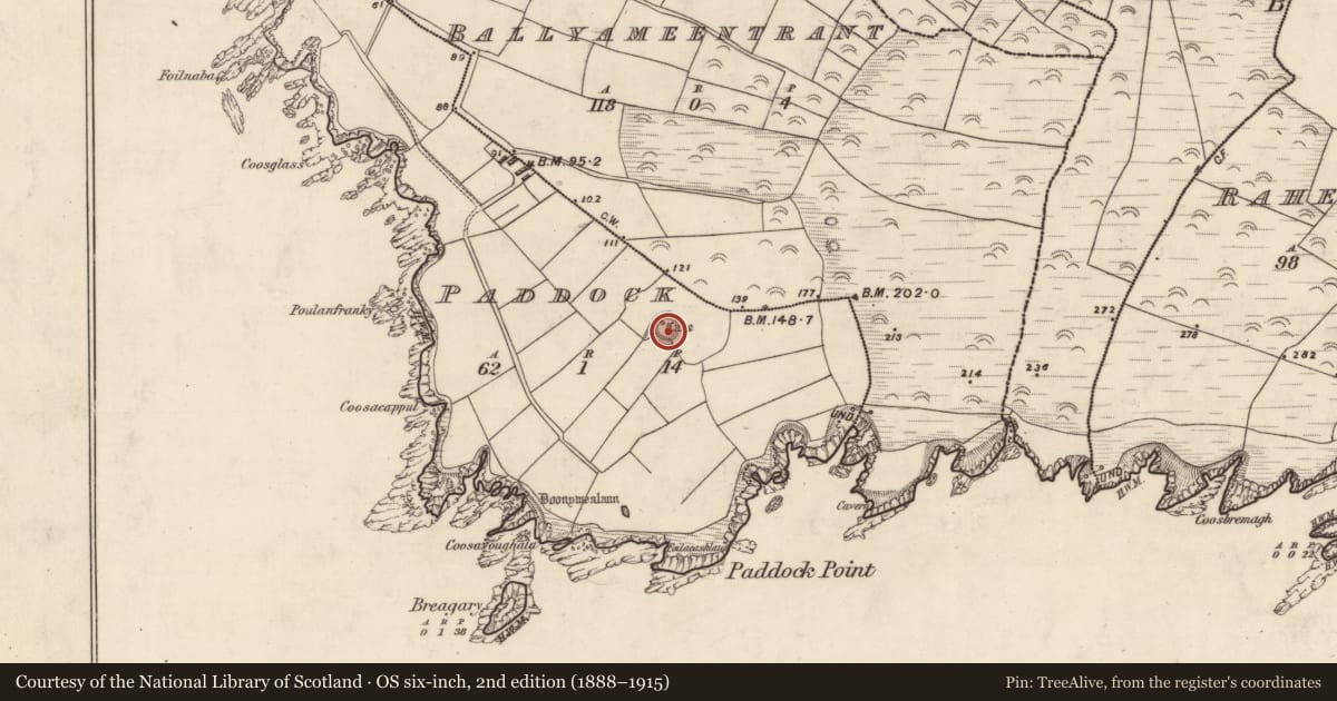 Ordnance Survey six-inch map, 2nd edition (1888–1915) covering the location of Ringfort - rath, An Paideac, County Kerry, with a pin at the register's coordinates