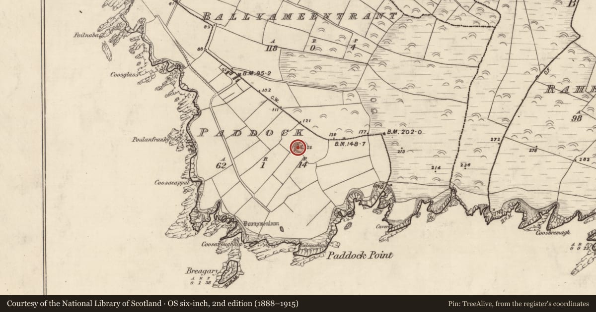 Ordnance Survey six-inch map, 2nd edition (1888–1915) covering the location of Souterrain, An Paideac, County Kerry, with a pin at the register's coordinates