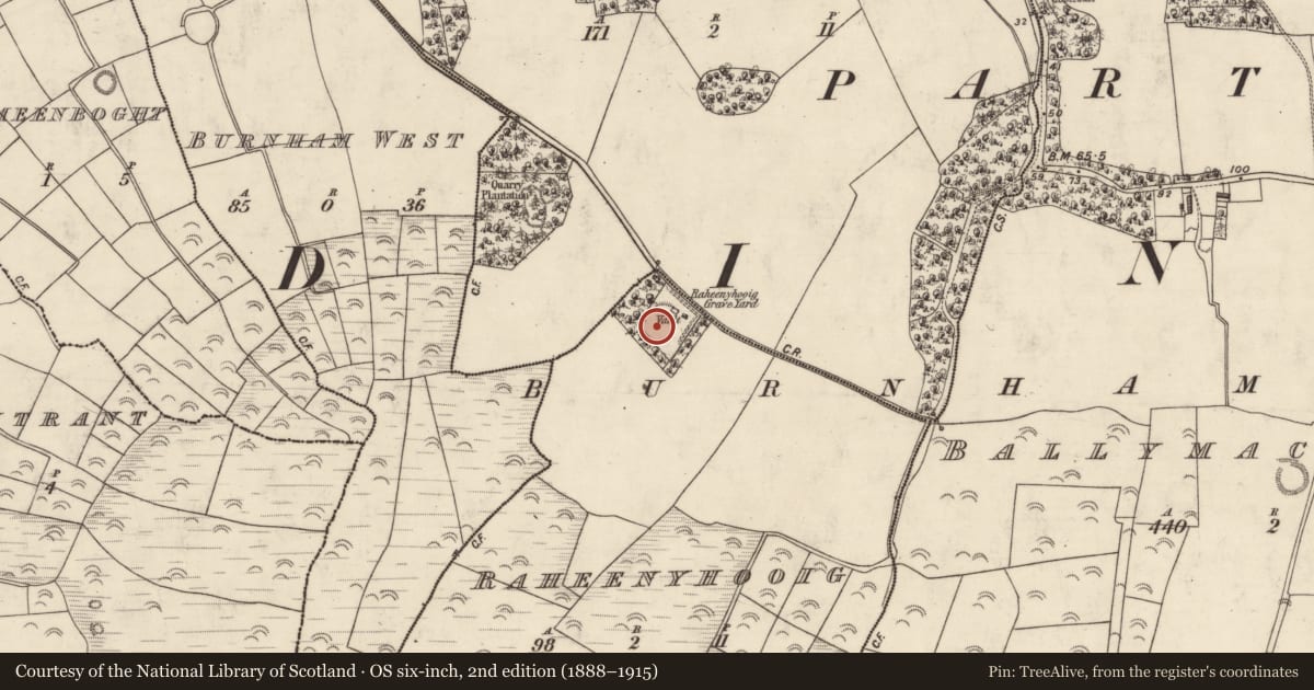 Ordnance Survey six-inch map, 2nd edition (1888–1915) covering the location of Holed stone, Ráithín Uí Bhuaigh, County Kerry, with a pin at the register's coordinates